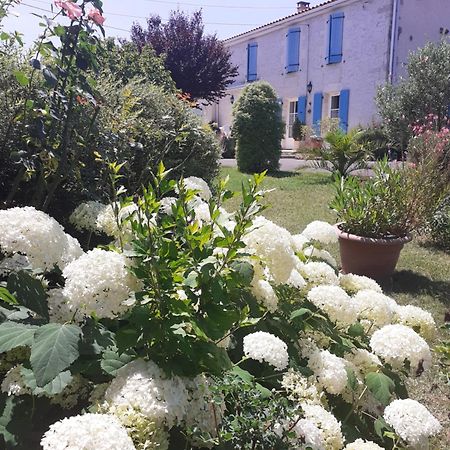 مبيت وإفطار Beaulieu-sur-Sonnette Les Hirondelles Du Paradis 6 Rue Des Oiseaux المظهر الخارجي الصورة