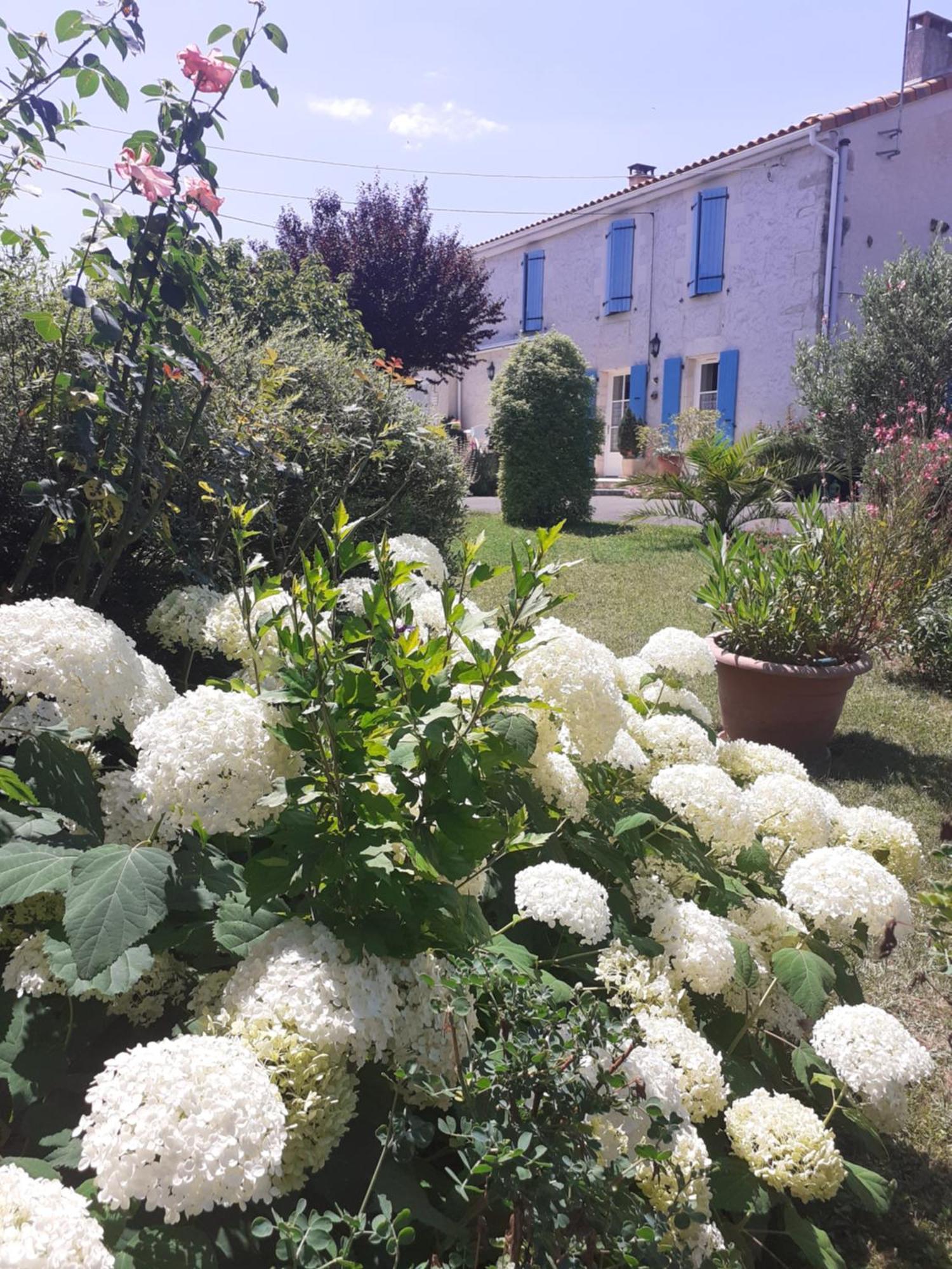 مبيت وإفطار Beaulieu-sur-Sonnette Les Hirondelles Du Paradis 6 Rue Des Oiseaux المظهر الخارجي الصورة